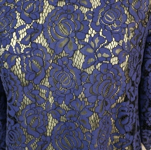 Luna Moon Blue Floral Sheer Blouse - Picture 3 of 4